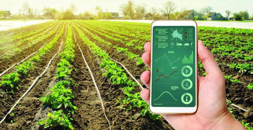 digital_transformation_agriculture_1